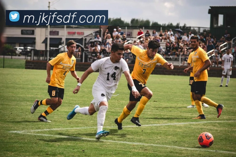 巅峰国际APP 封面图